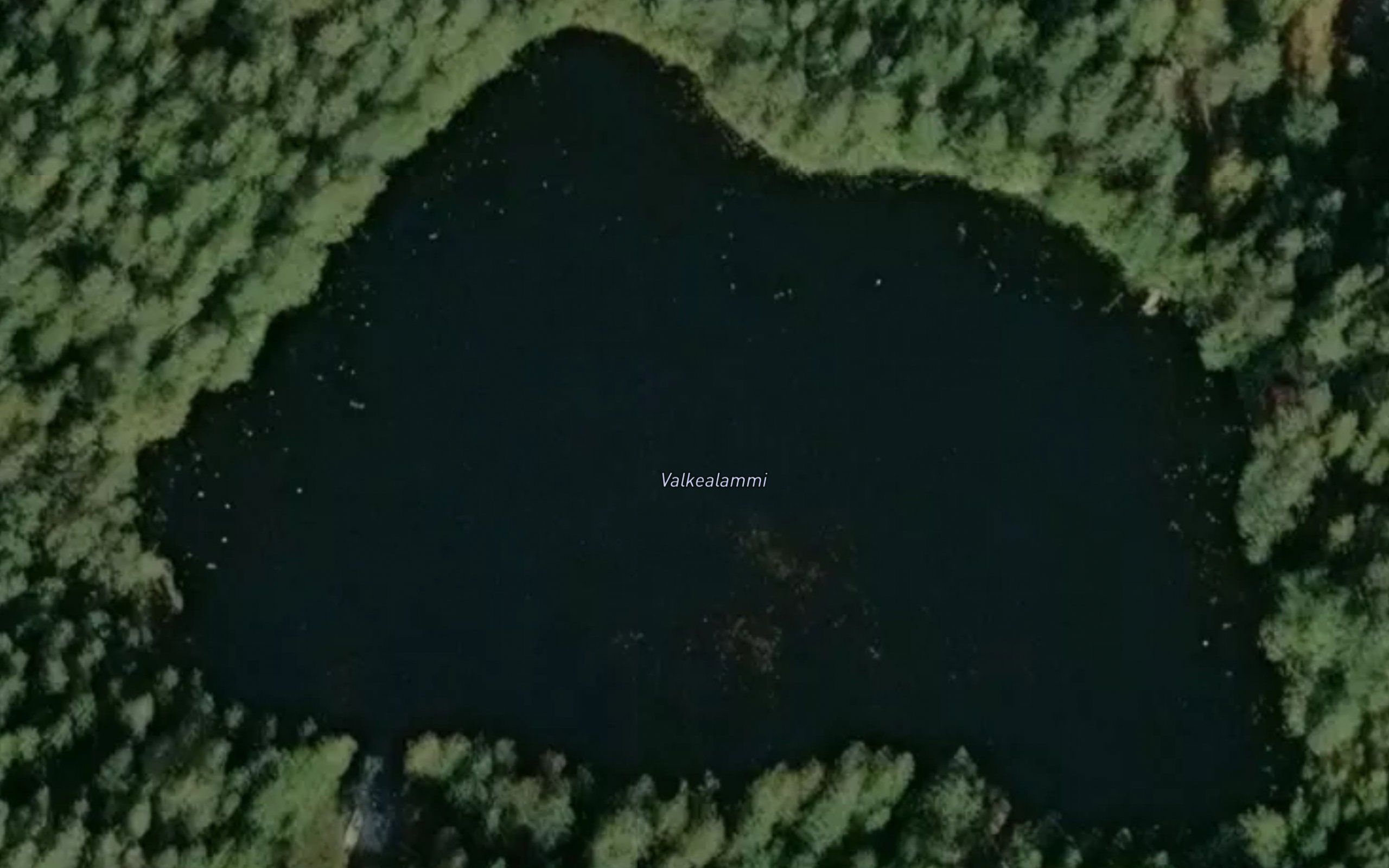 Valkealammi