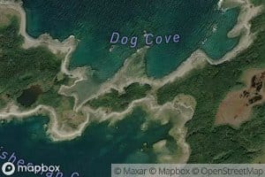 Dog Cove