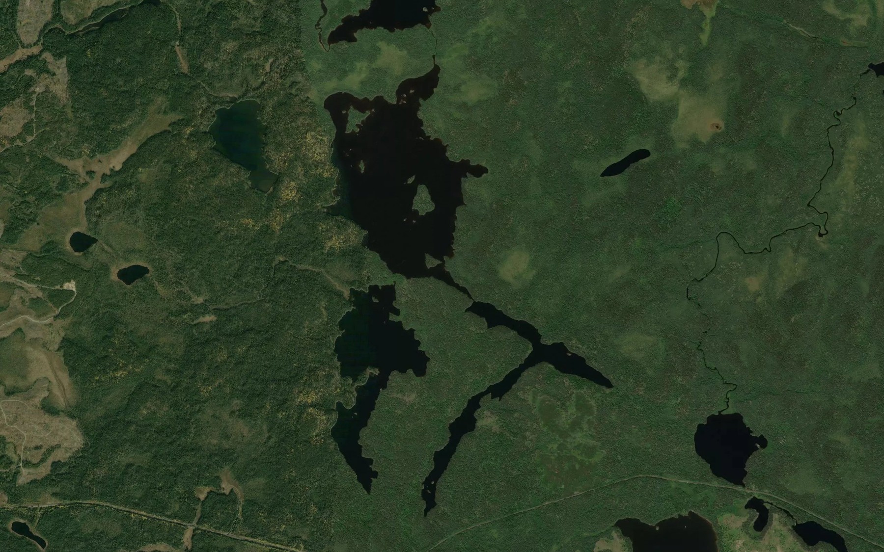 Satellite map of the Port Lake