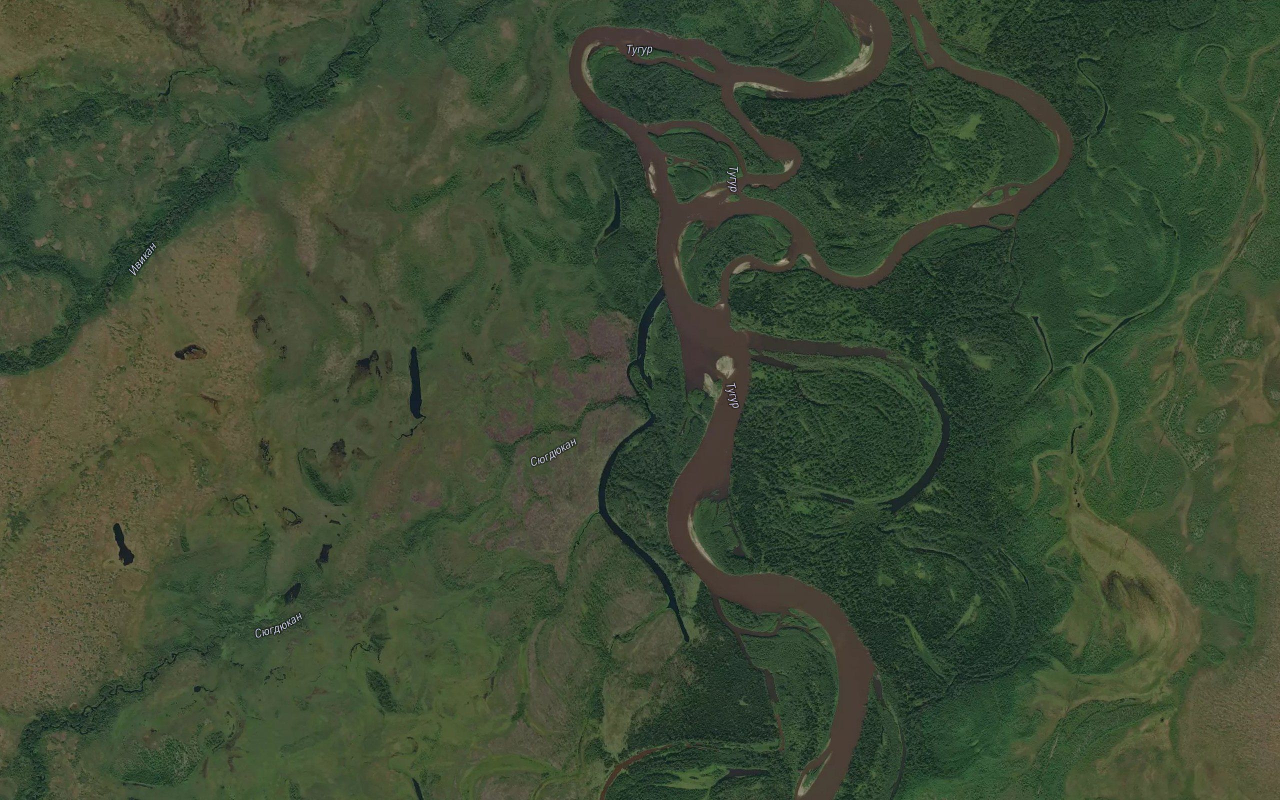 Syugdyukan