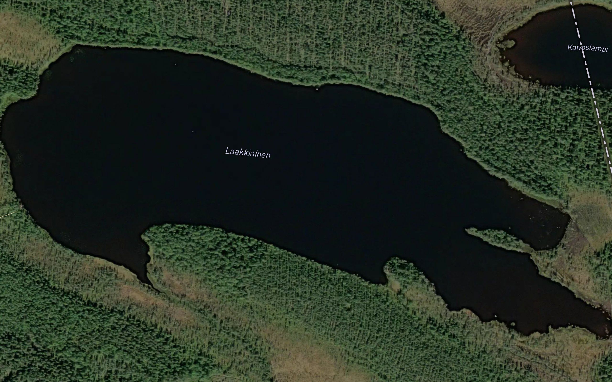 Laakkiainen