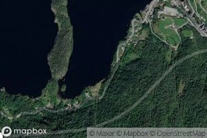 Gronevika
