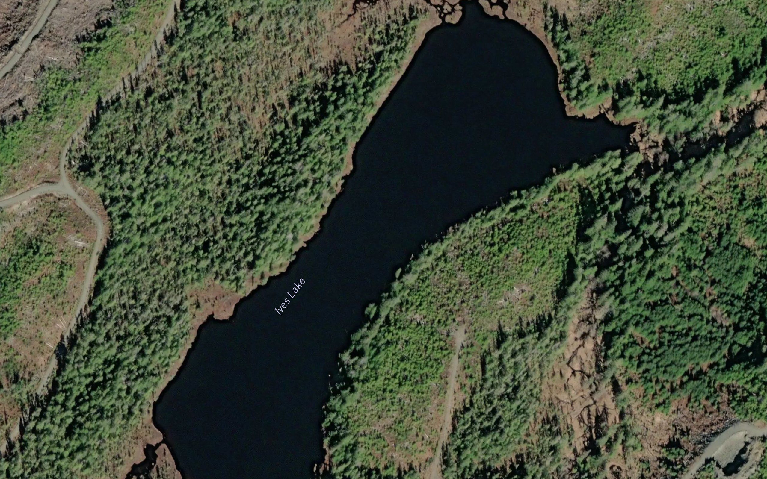 Ives Lake