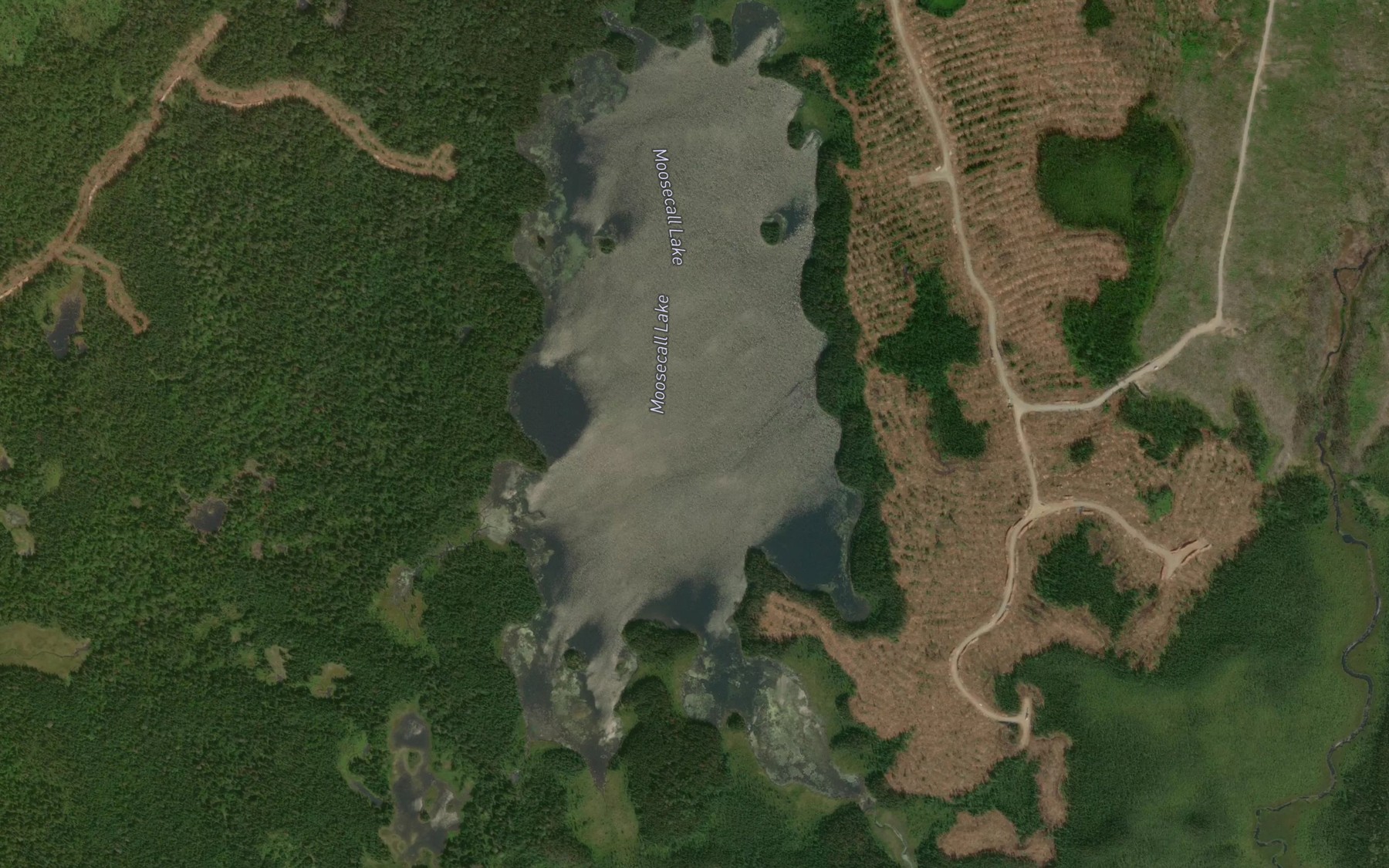 Satellite map of the Moosecall Lake