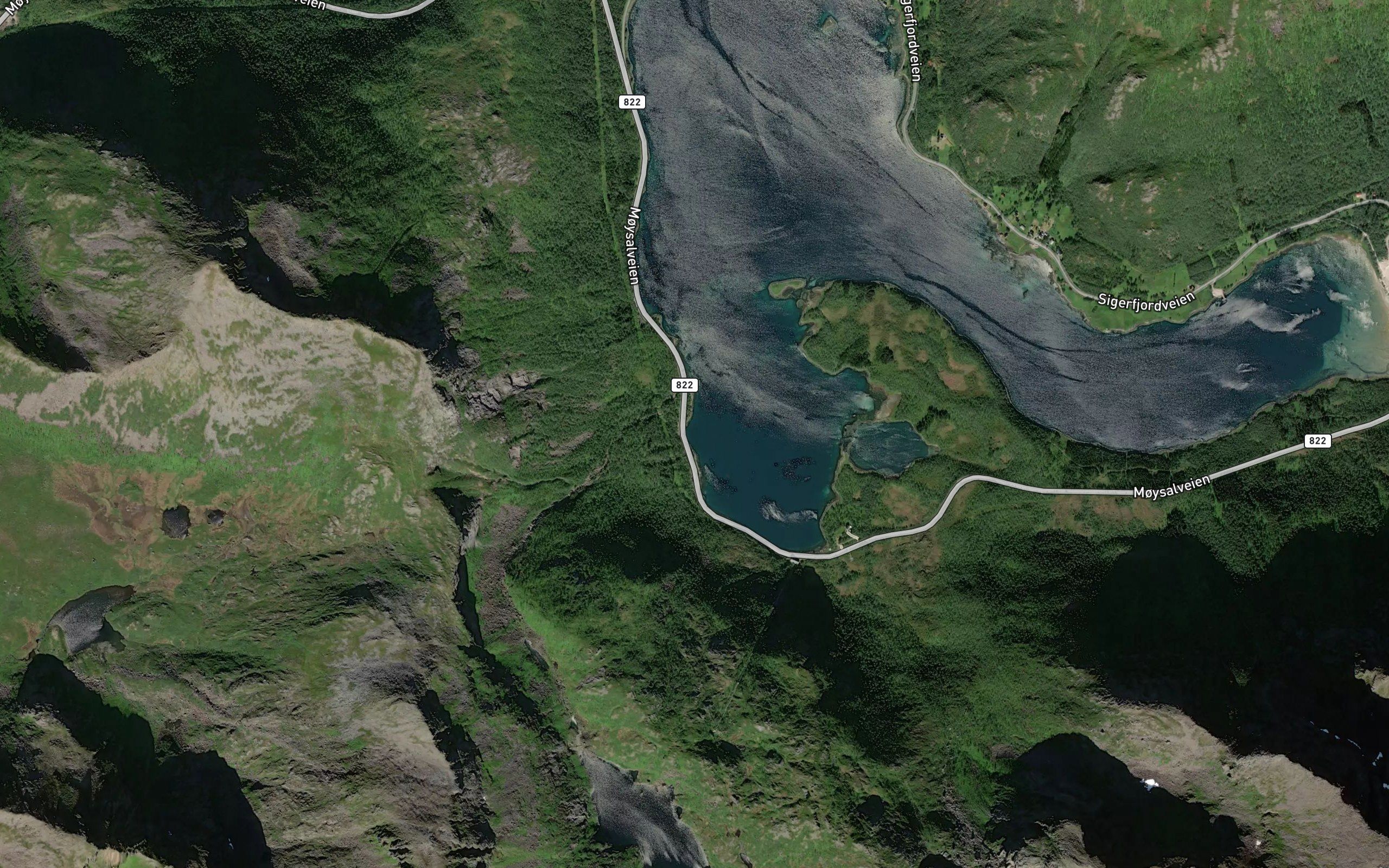 Molnbukta