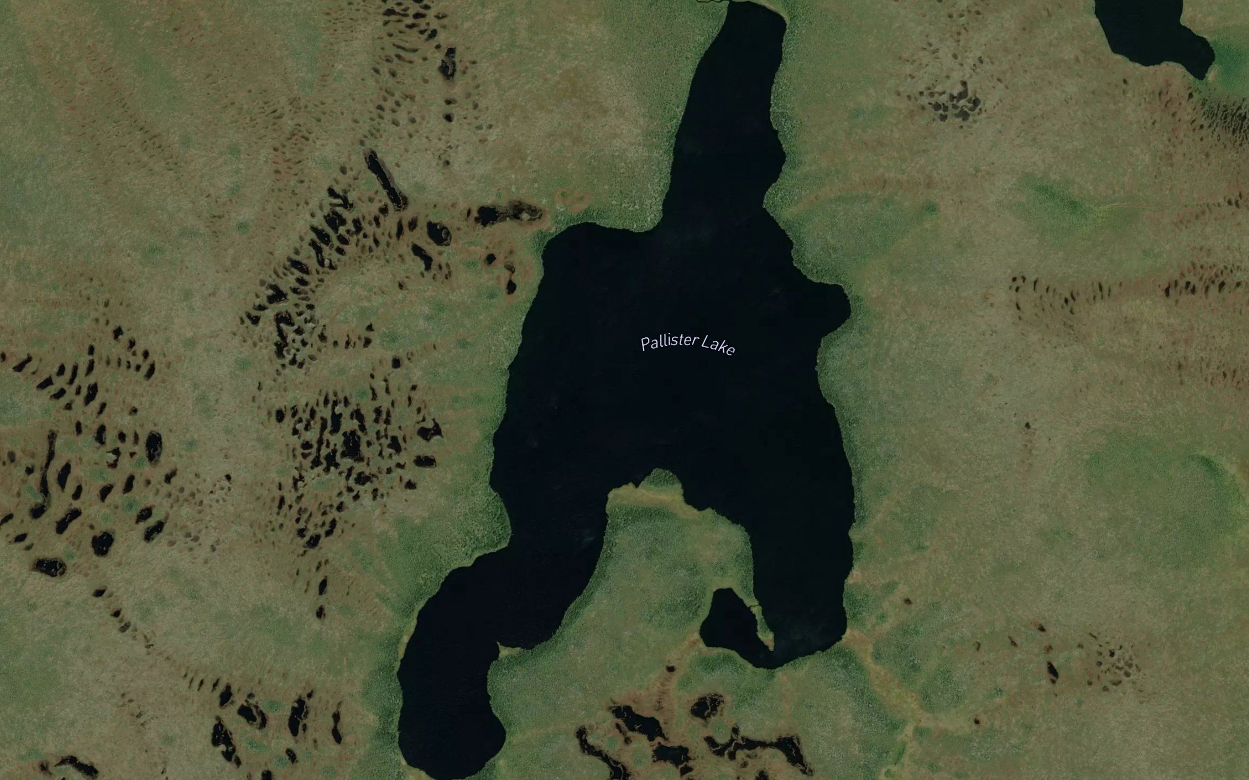Pallister Lake