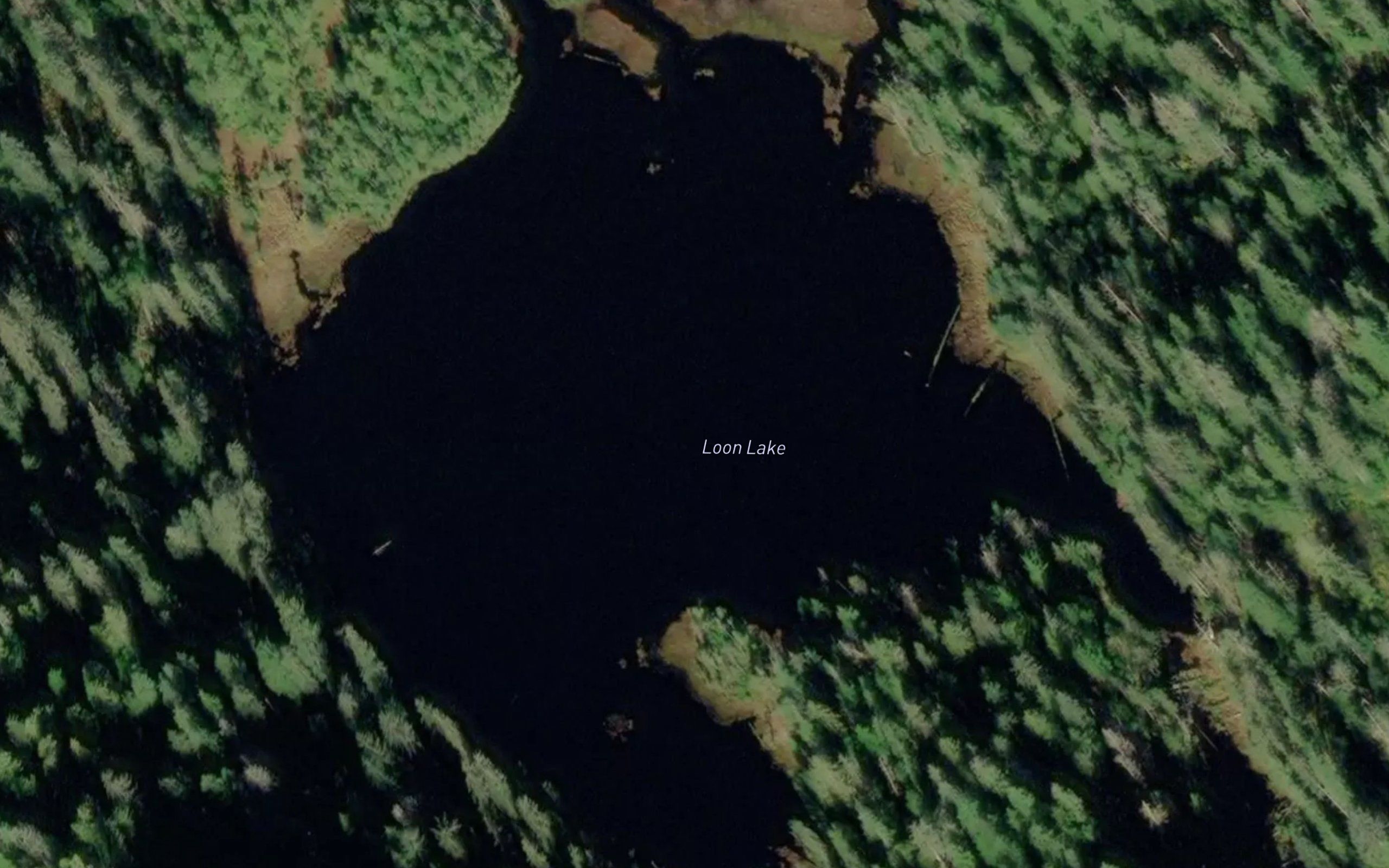 Loon Lake