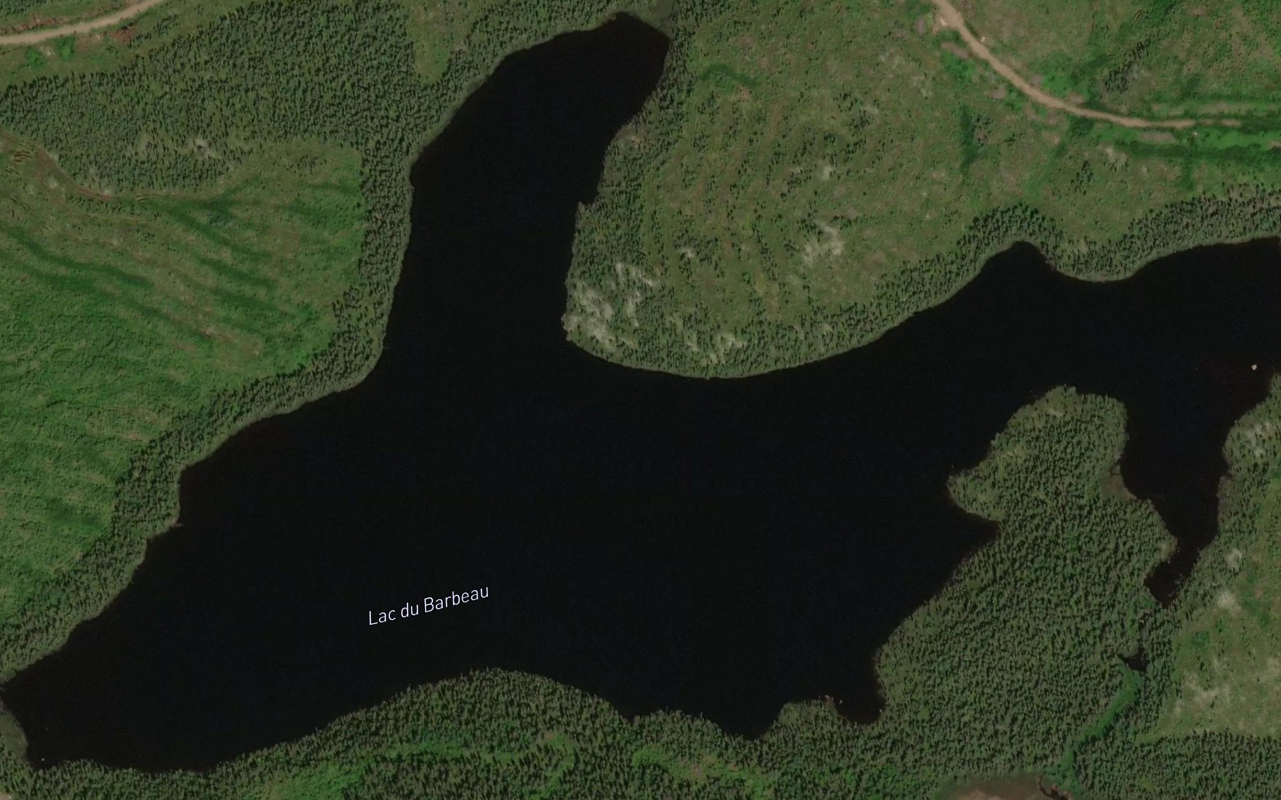 Satellite map of the Lac du Barbeau