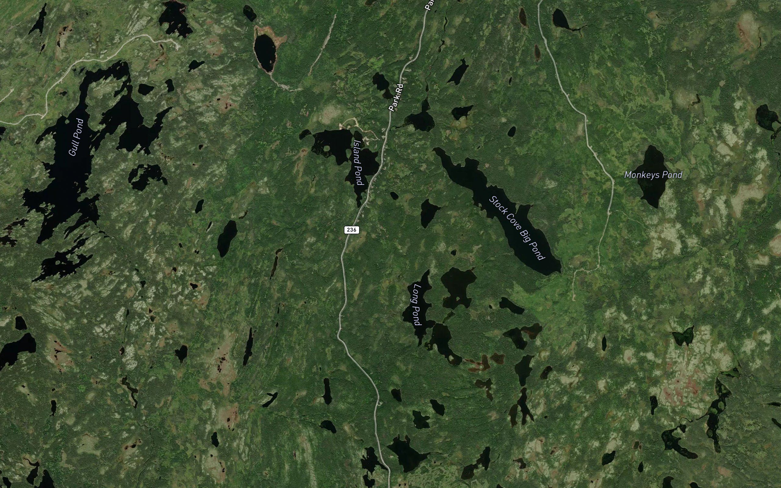 Long Pond