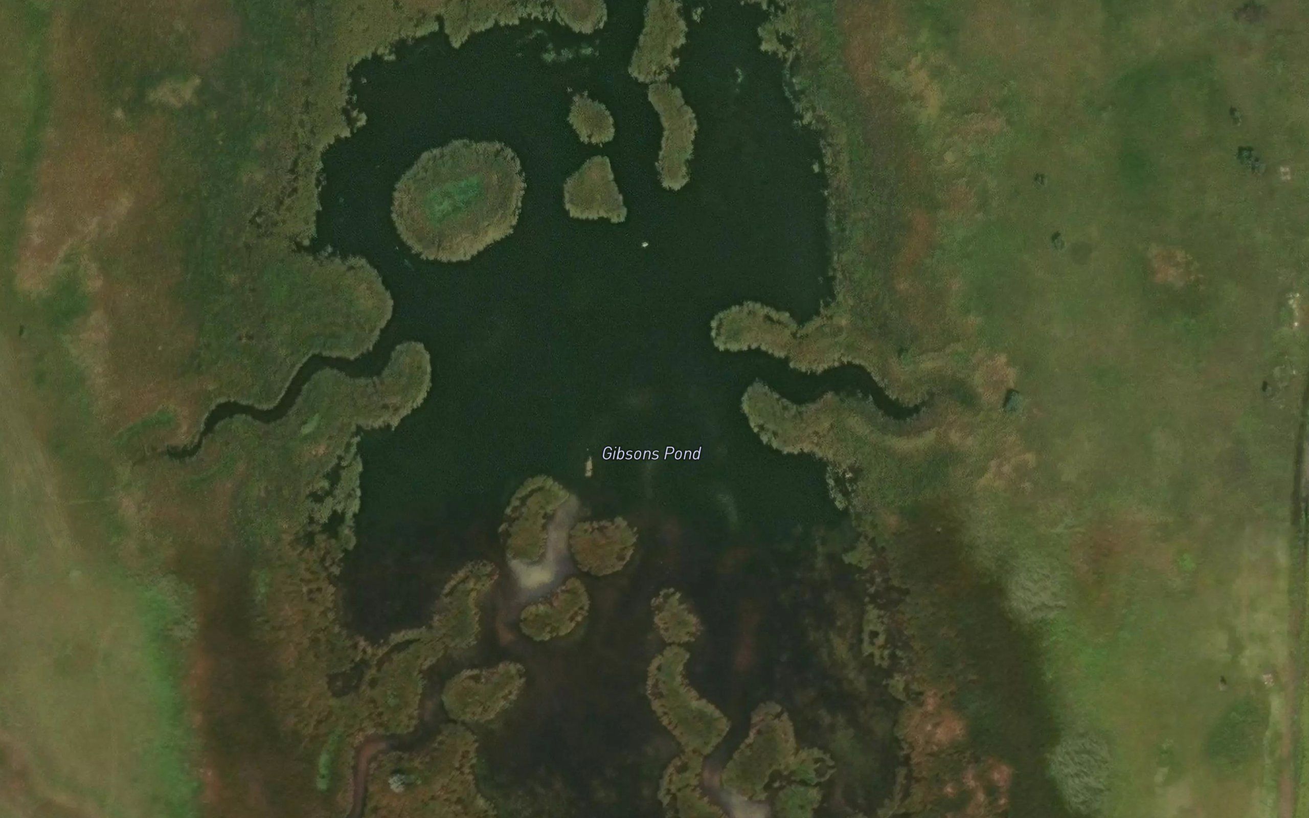 Gibsons Pond