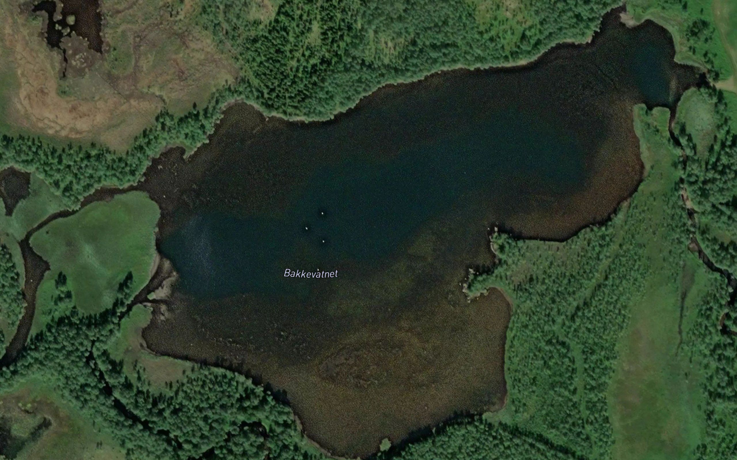 Bakkevatnet