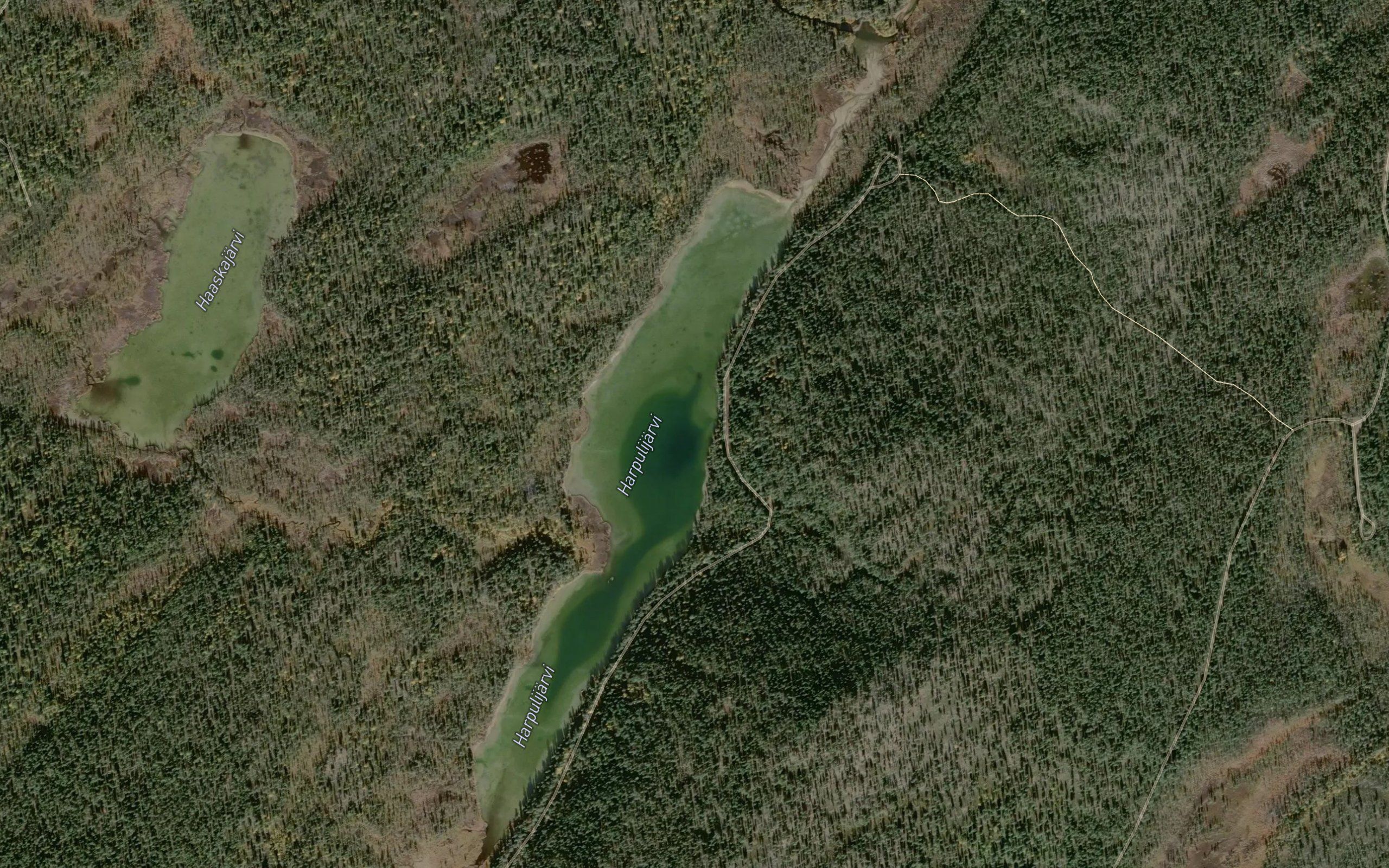 Harpulijarvi