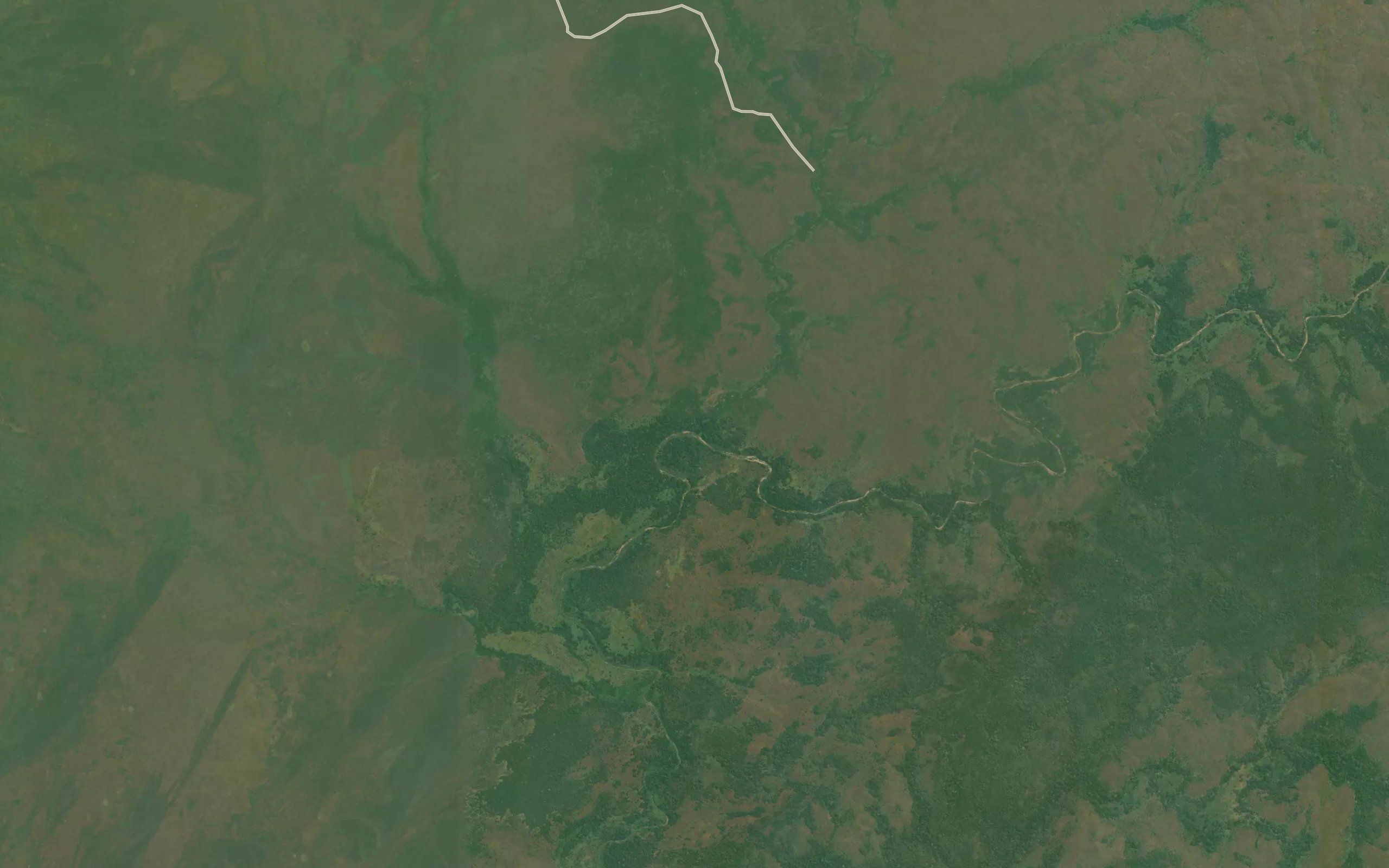Fuangi