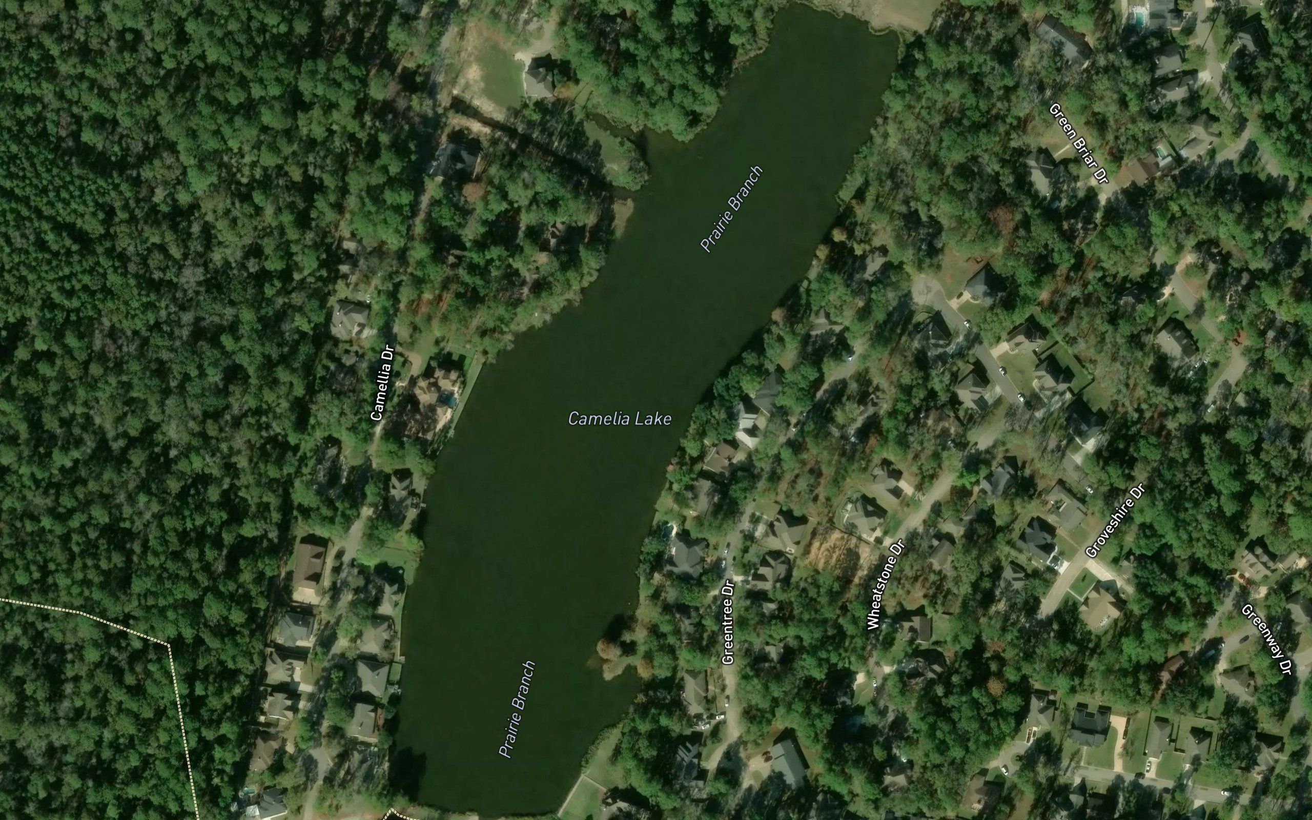 Camelia Lake