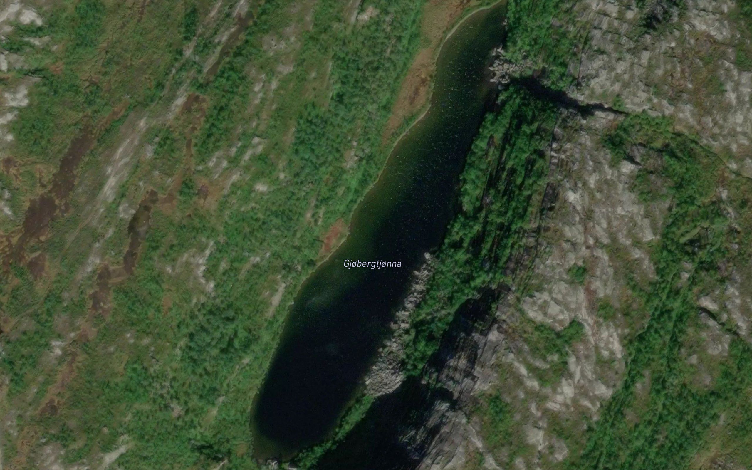 Gjobergtjorna