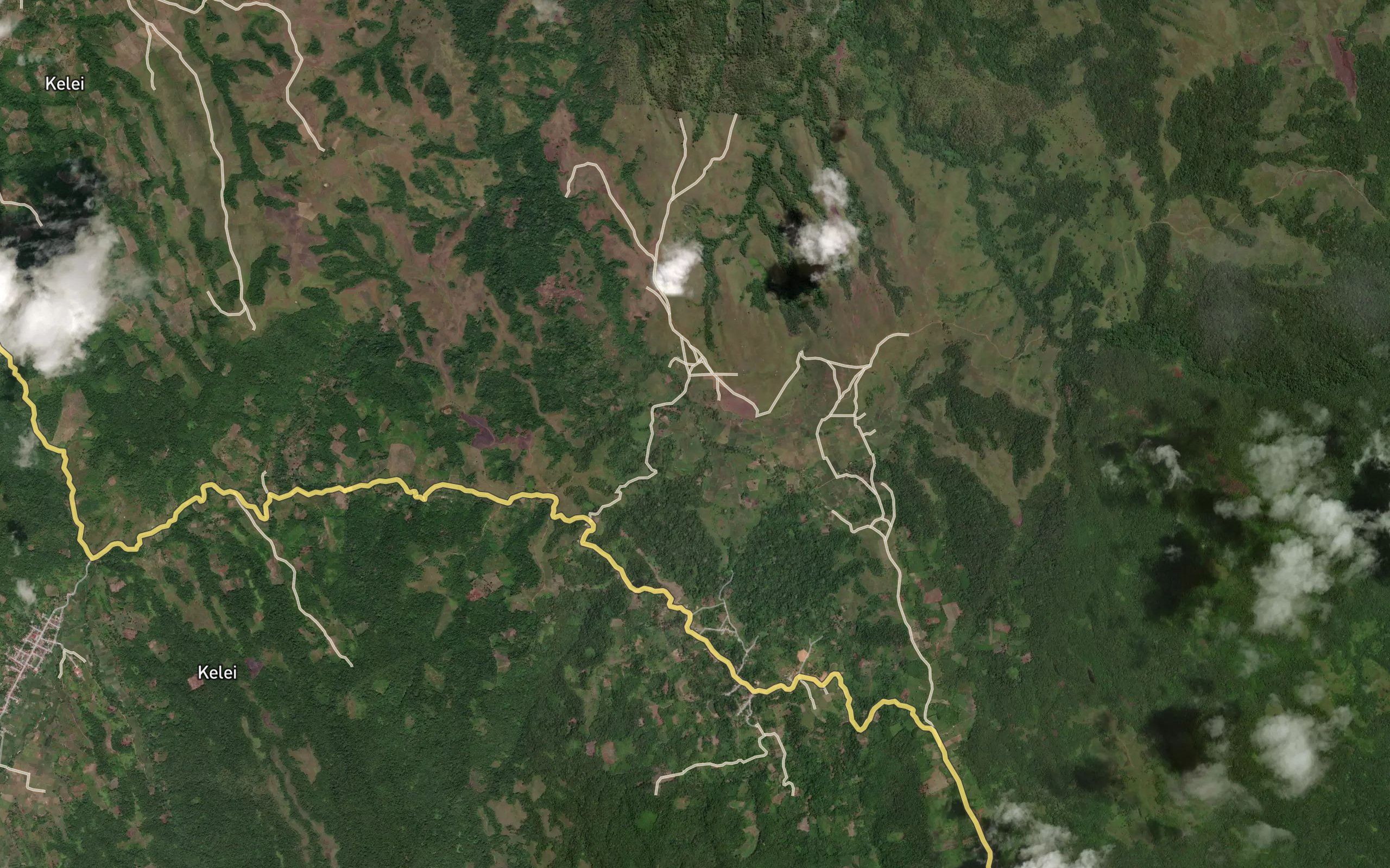 Koro Kajuyayo