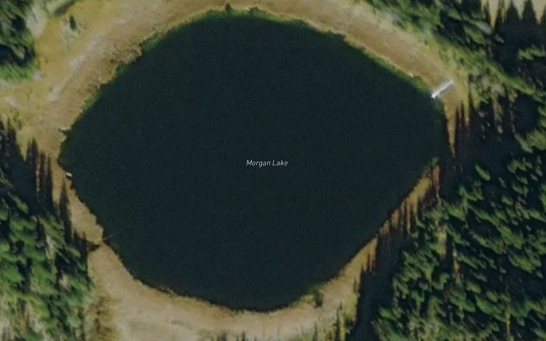 Satellite map of the Morgan Lake