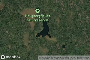 Store Gjeddetjern
