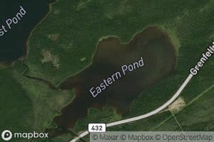 Eastern Pond