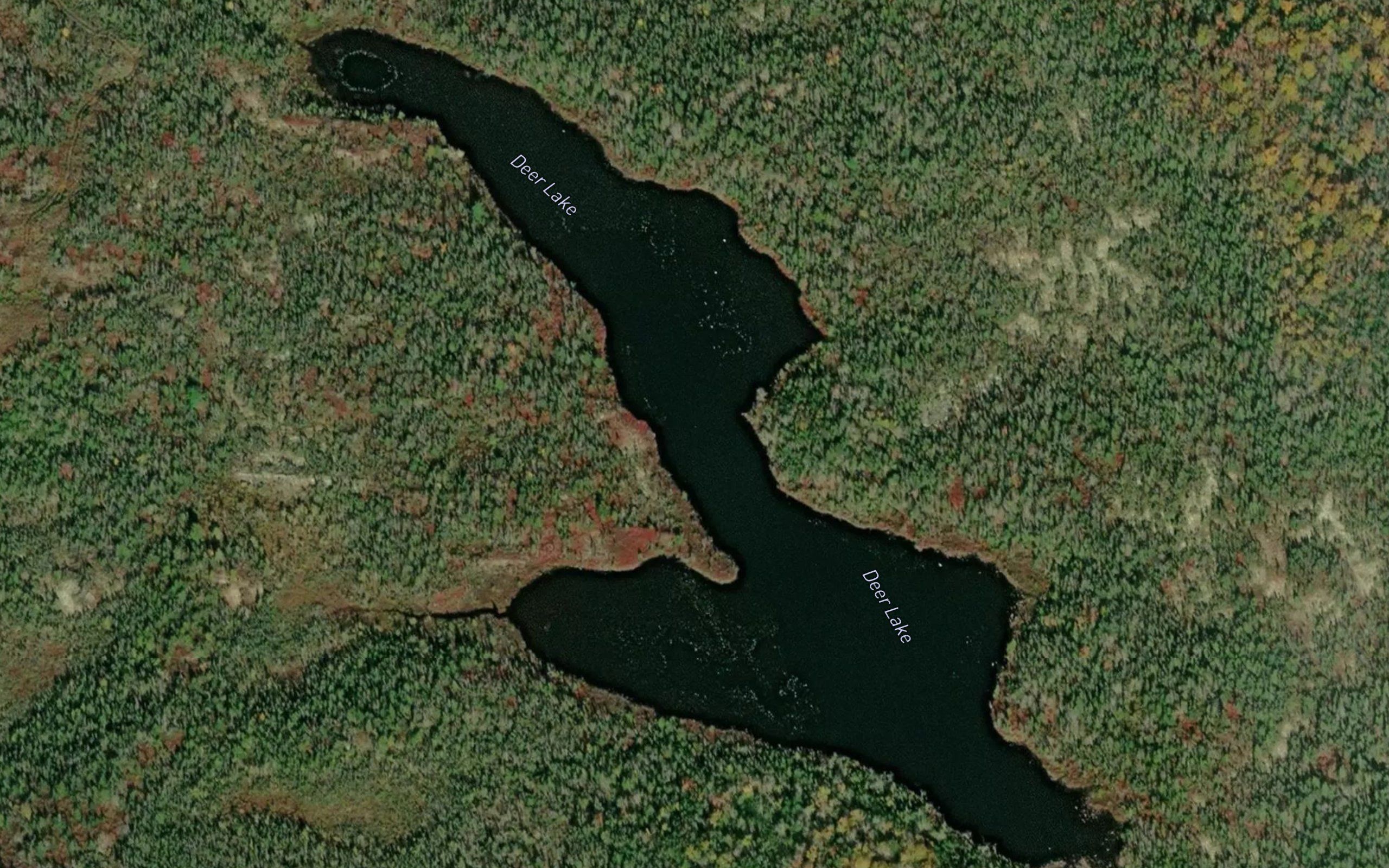 Deer Lake