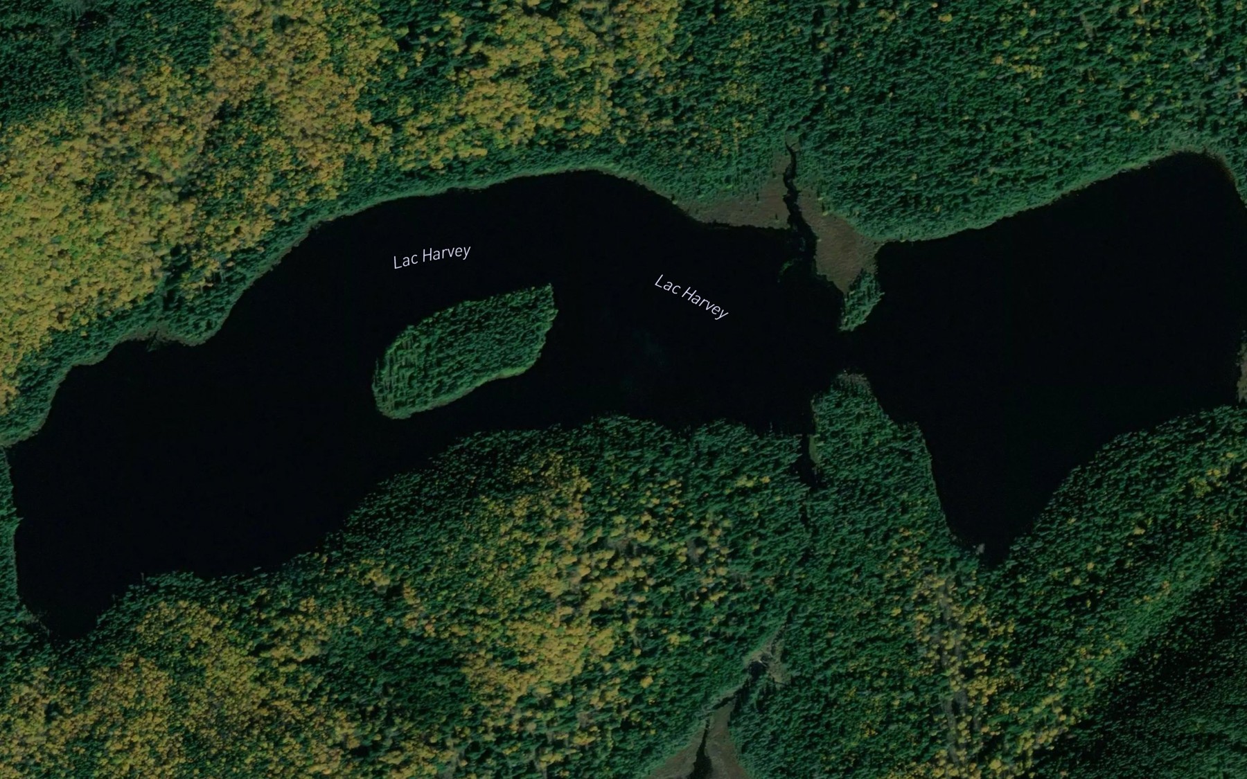 Satellite map of the Lac Harvey