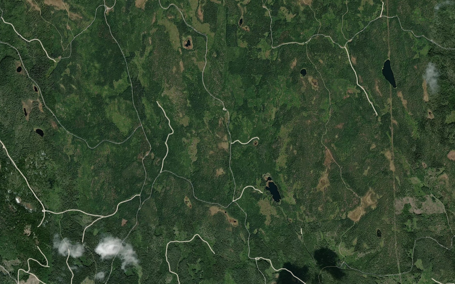 Satellite map of the Piparrudbekken
