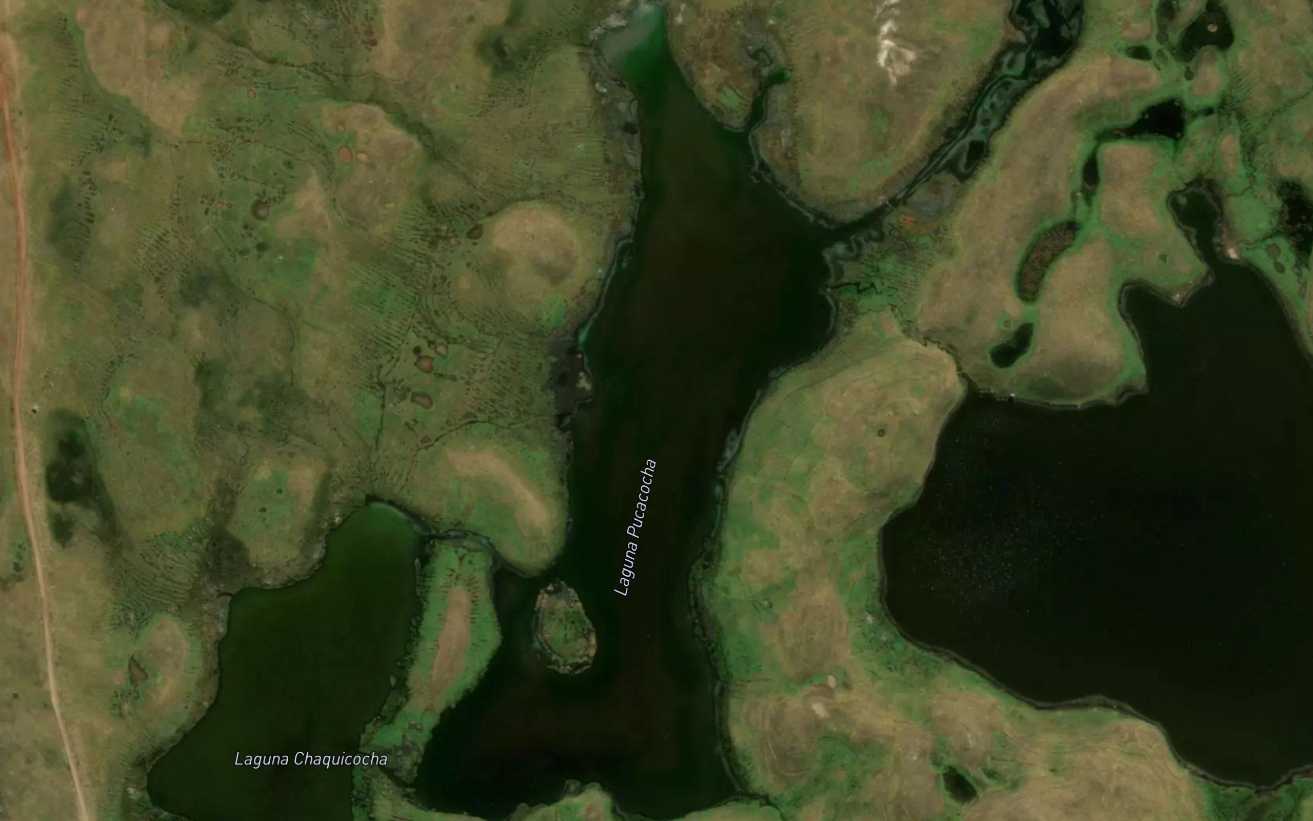 Laguna Pucacocha
