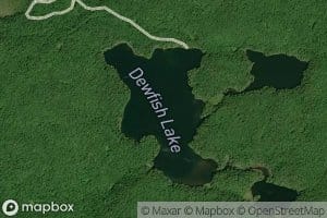 Dewfish Lake