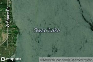 Swan Lake