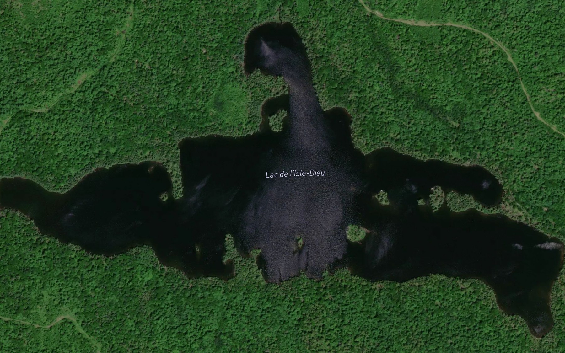 Satellite map of the Lac de l'Isle-Dieu