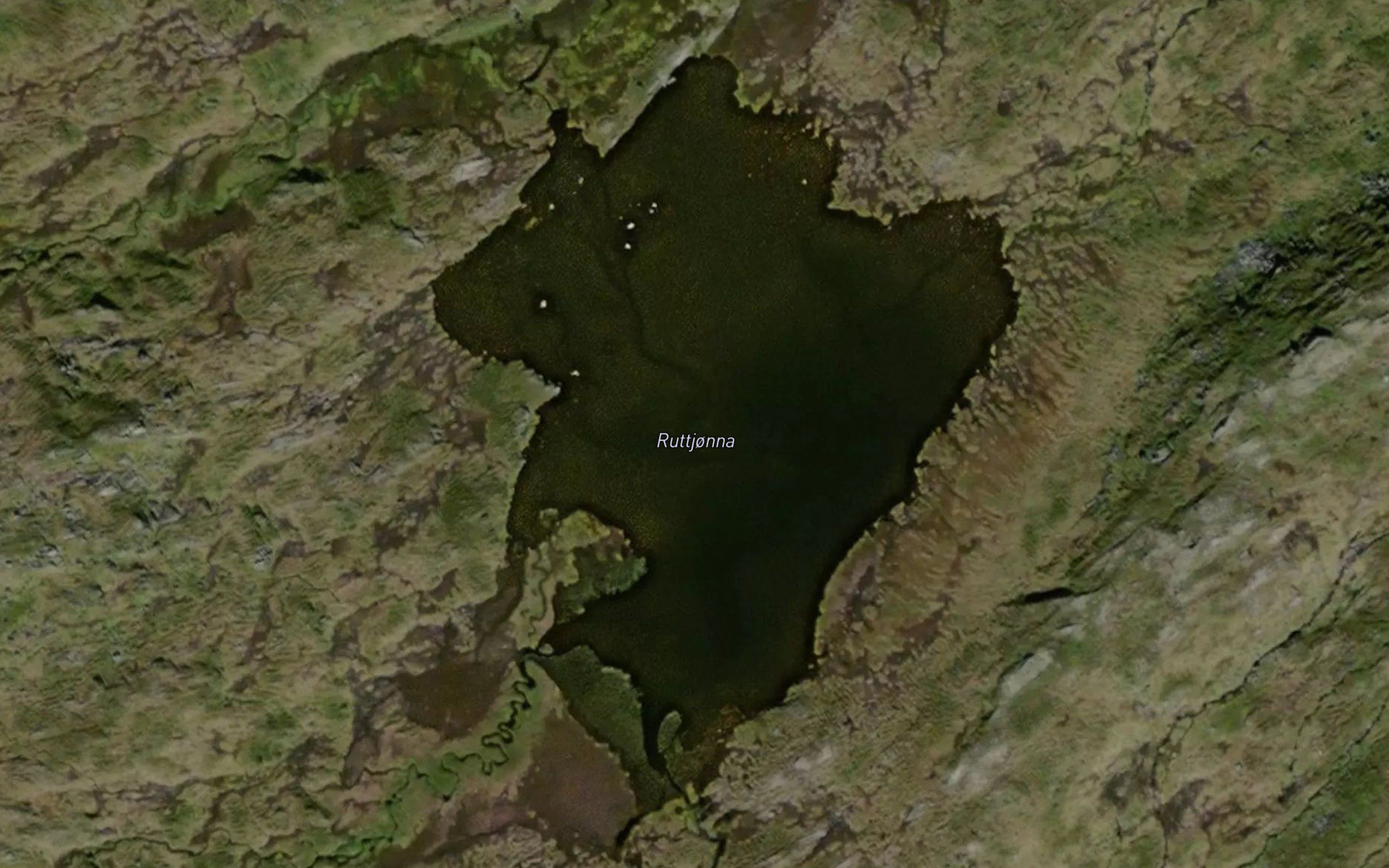 Ruttjorna