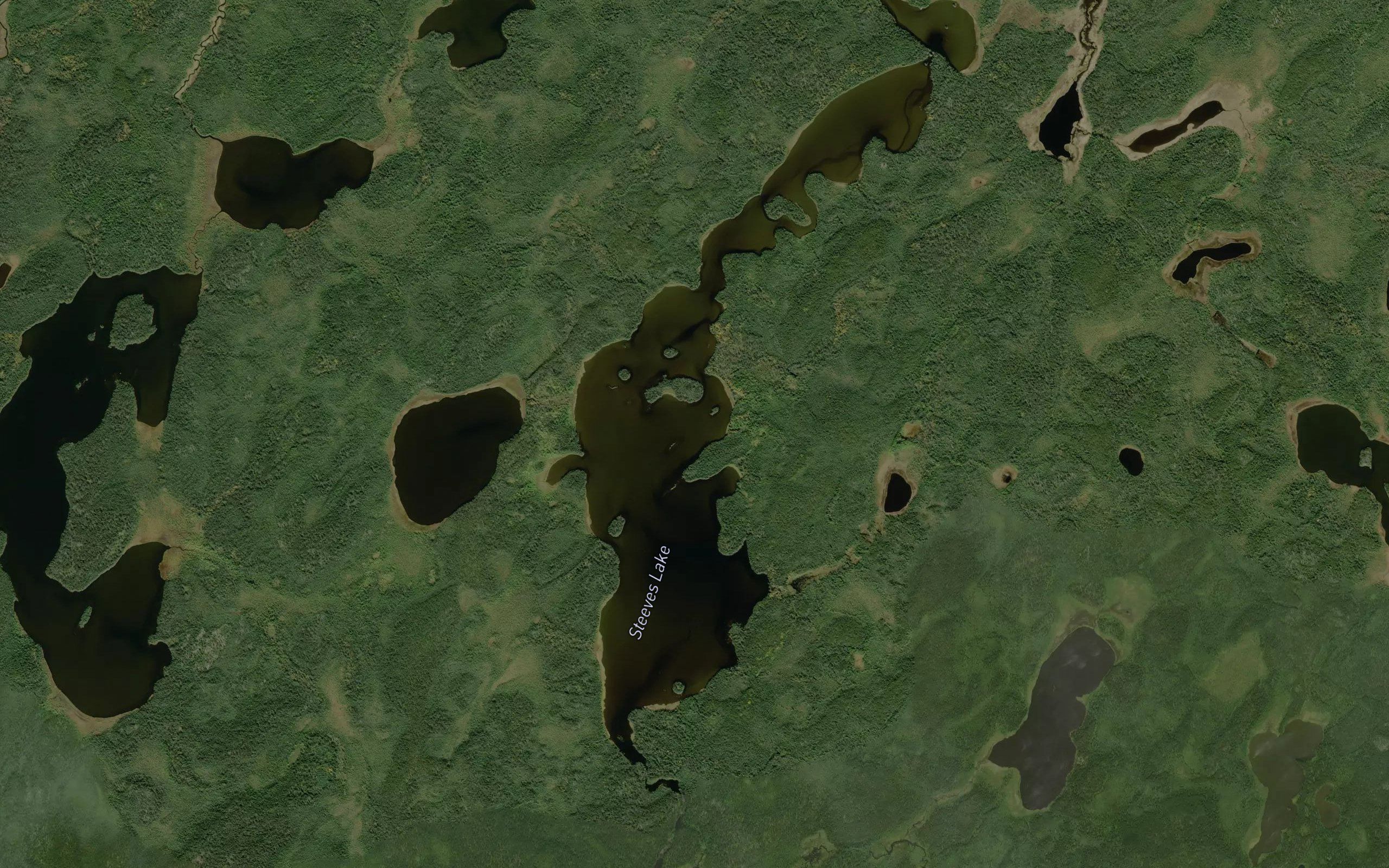Steeves Lake