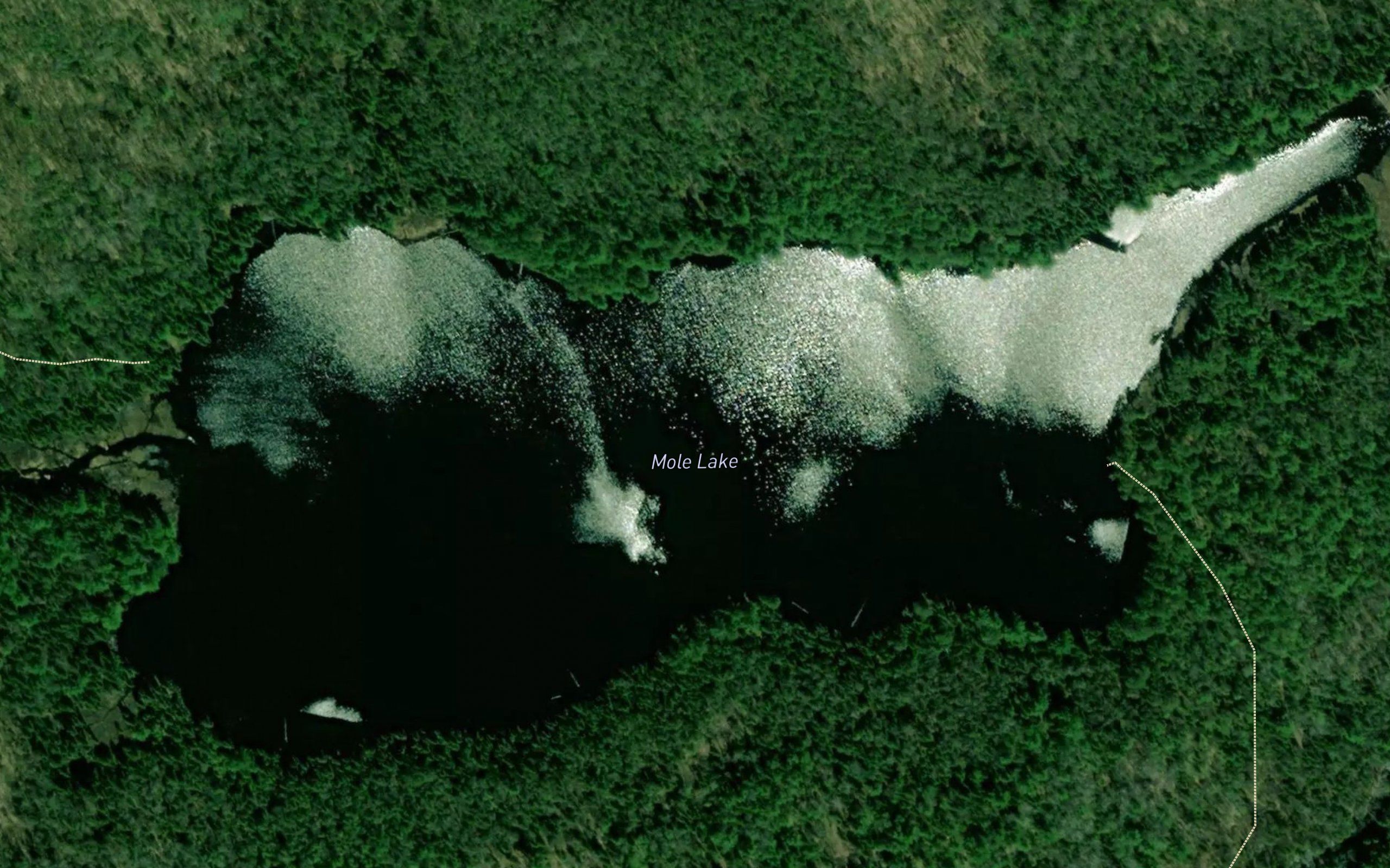 Mole Lake