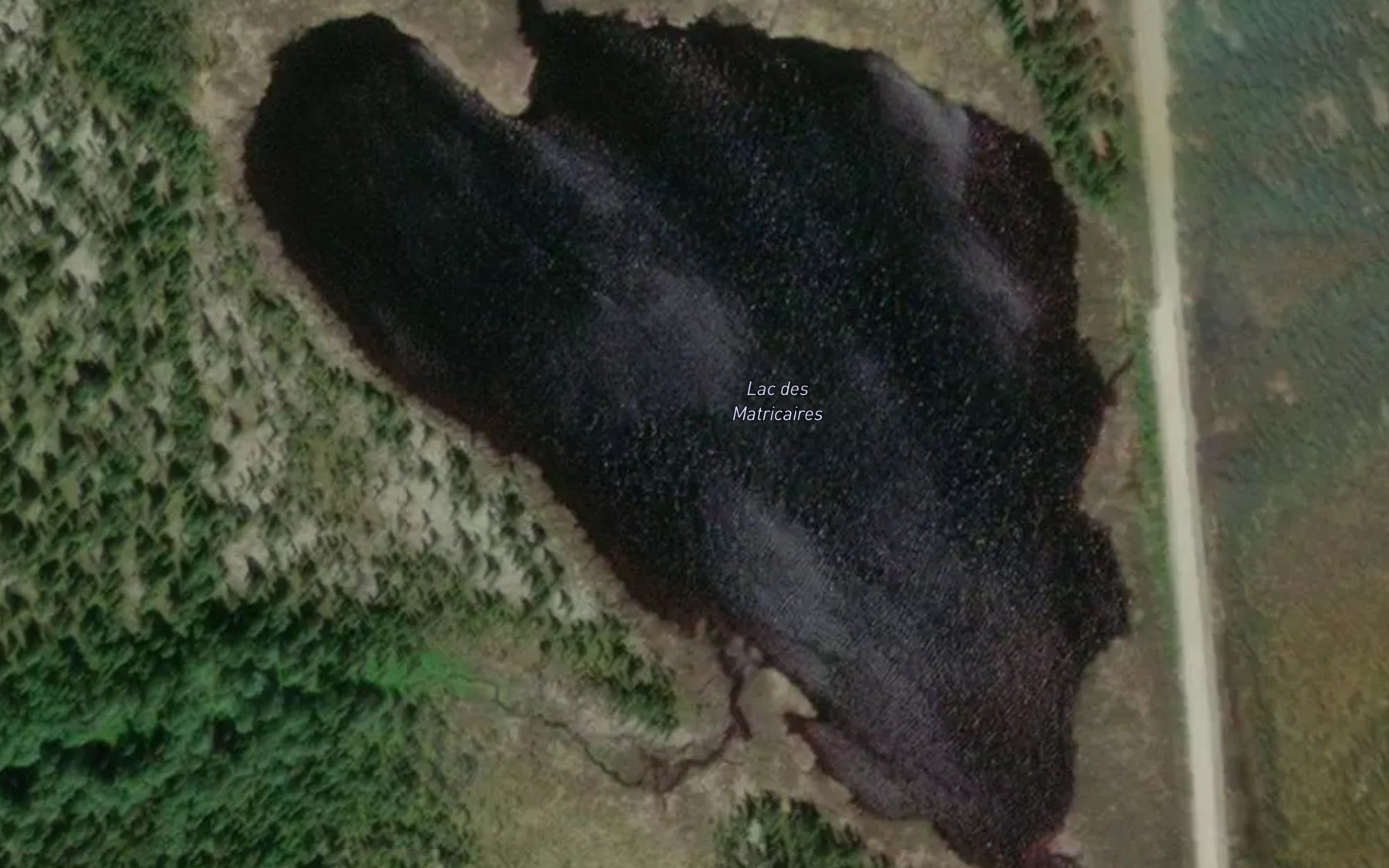 Satellite map of the Lac des Matricaires