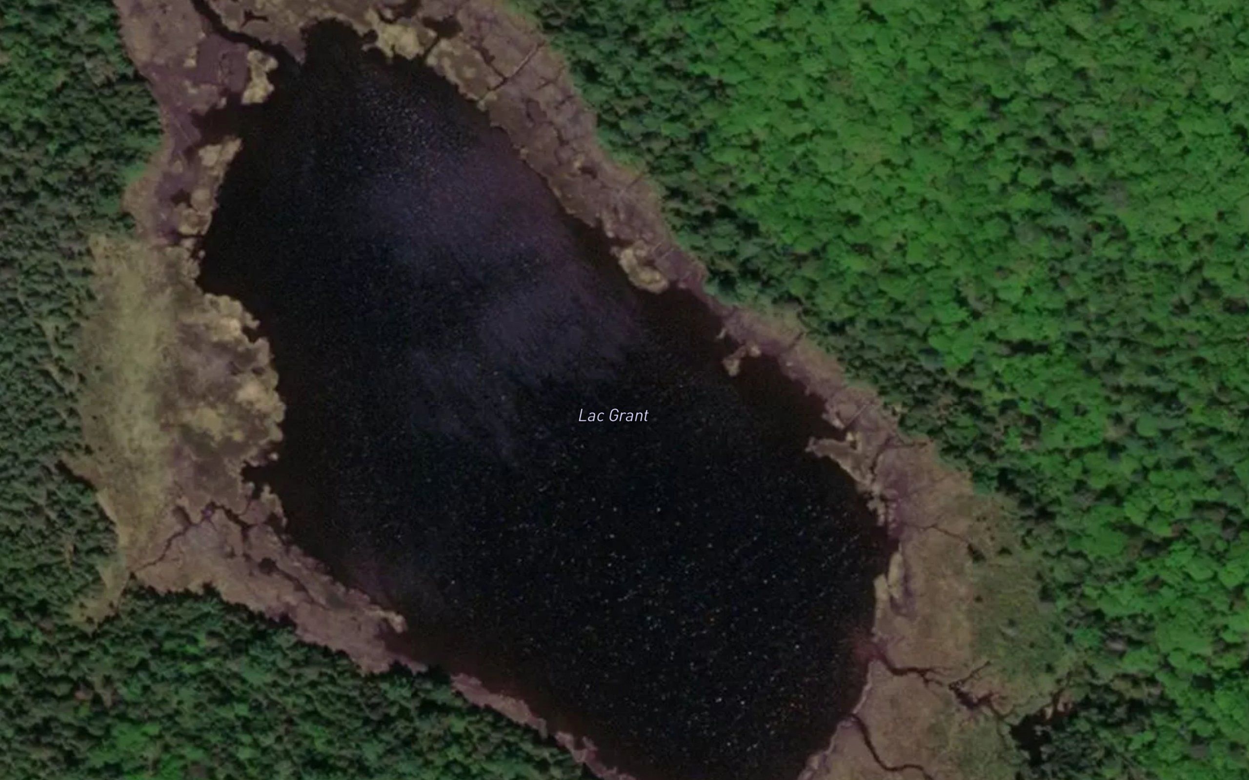 Lac Grant