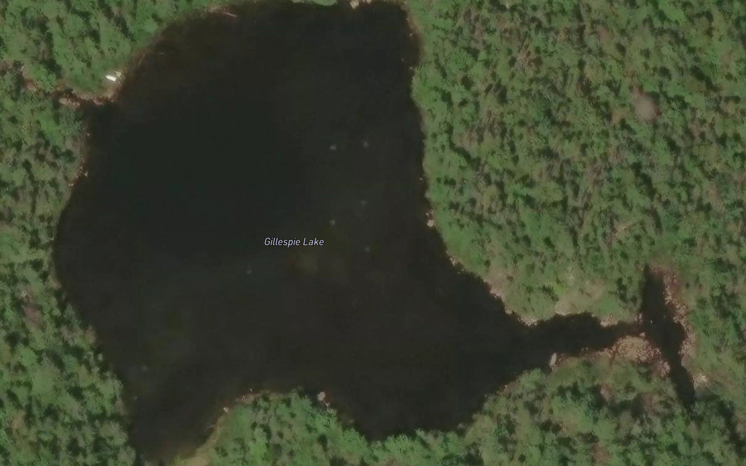 Gillespie Lake