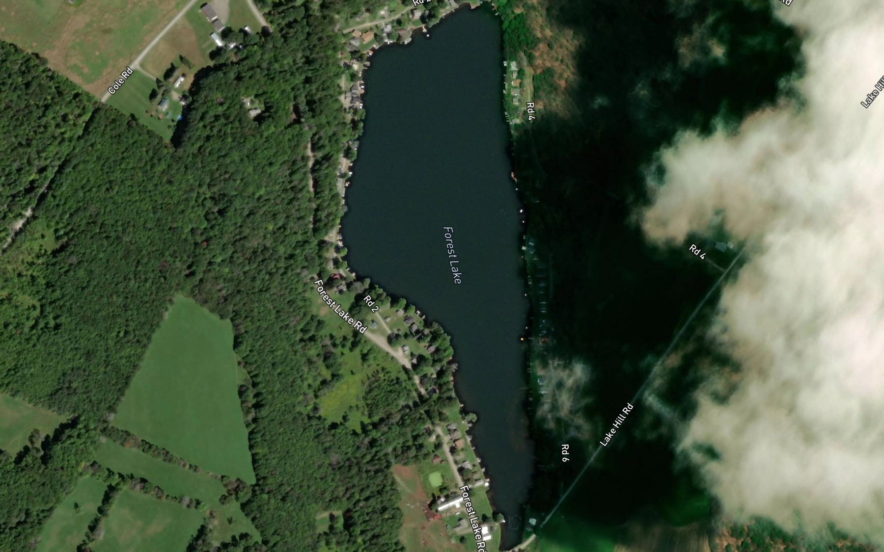 Satellite map of the Forest Lake