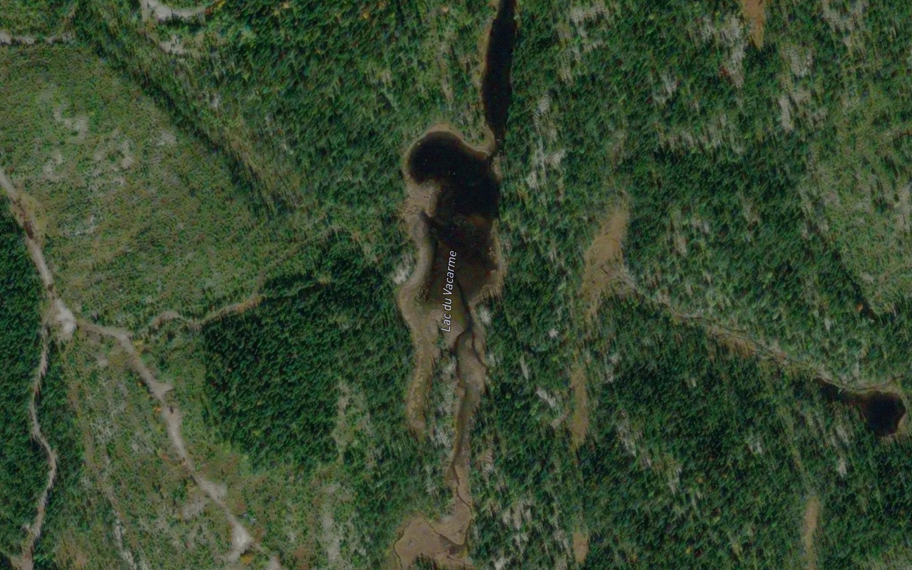 Satellite map of the Lac du Vacarme
