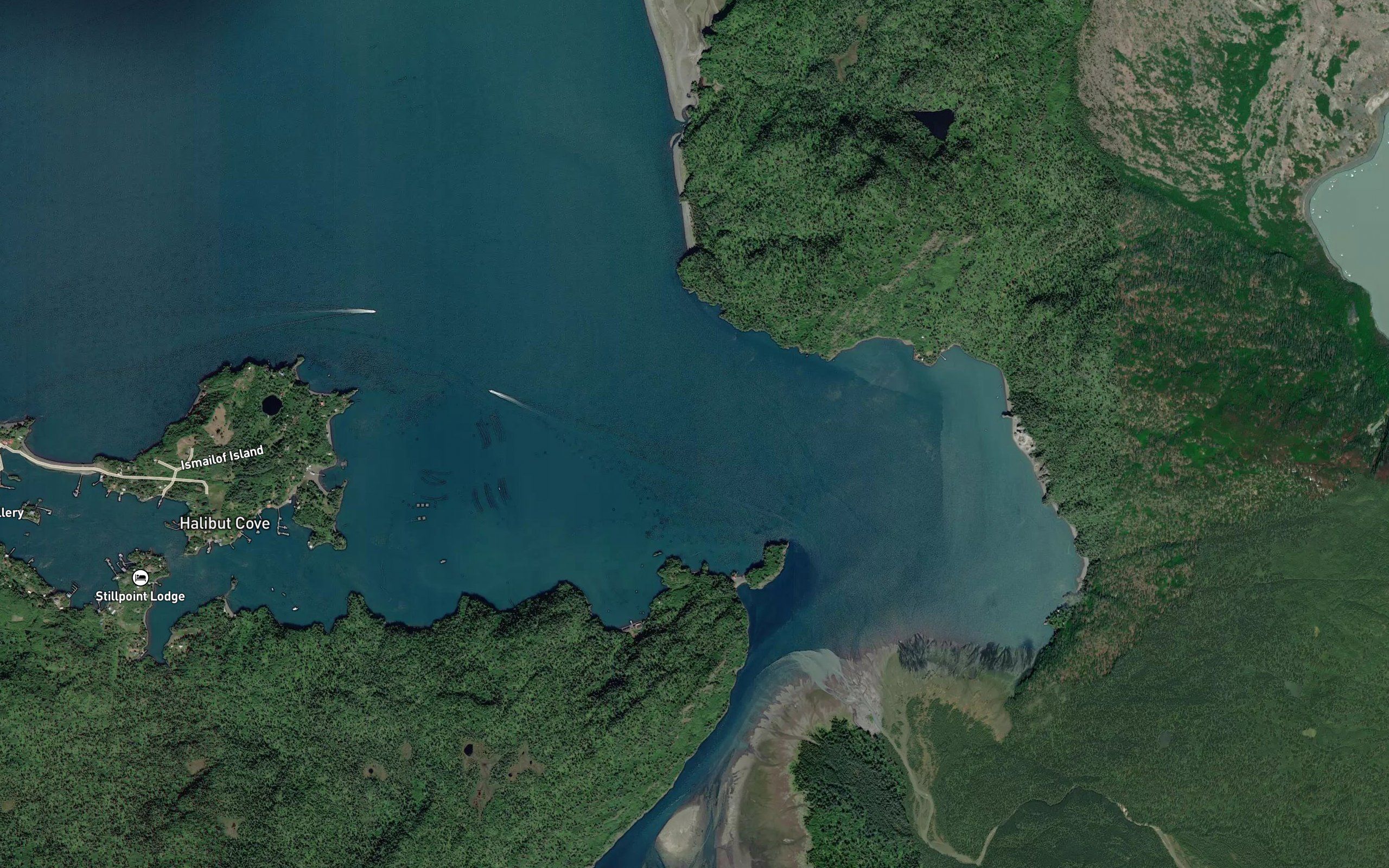 Halibut Cove
