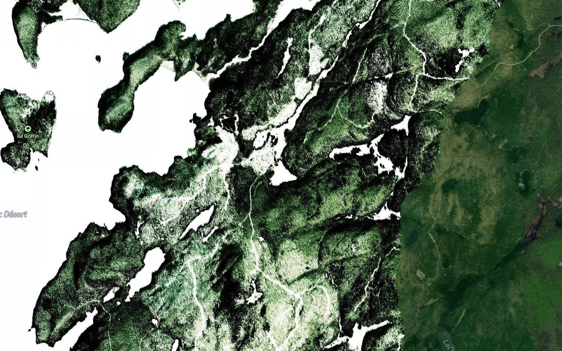 Satellite map of the Lac des Ours Blancs