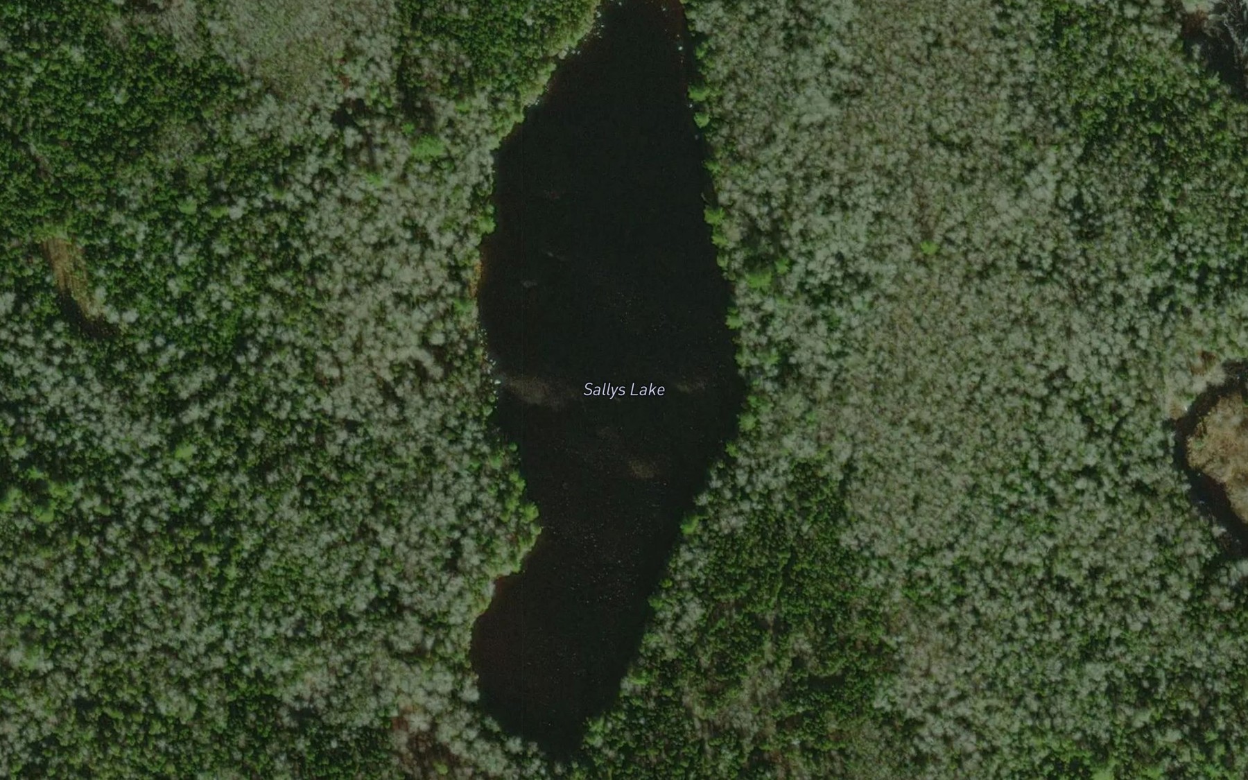 Satellite map of the Sallys Lake