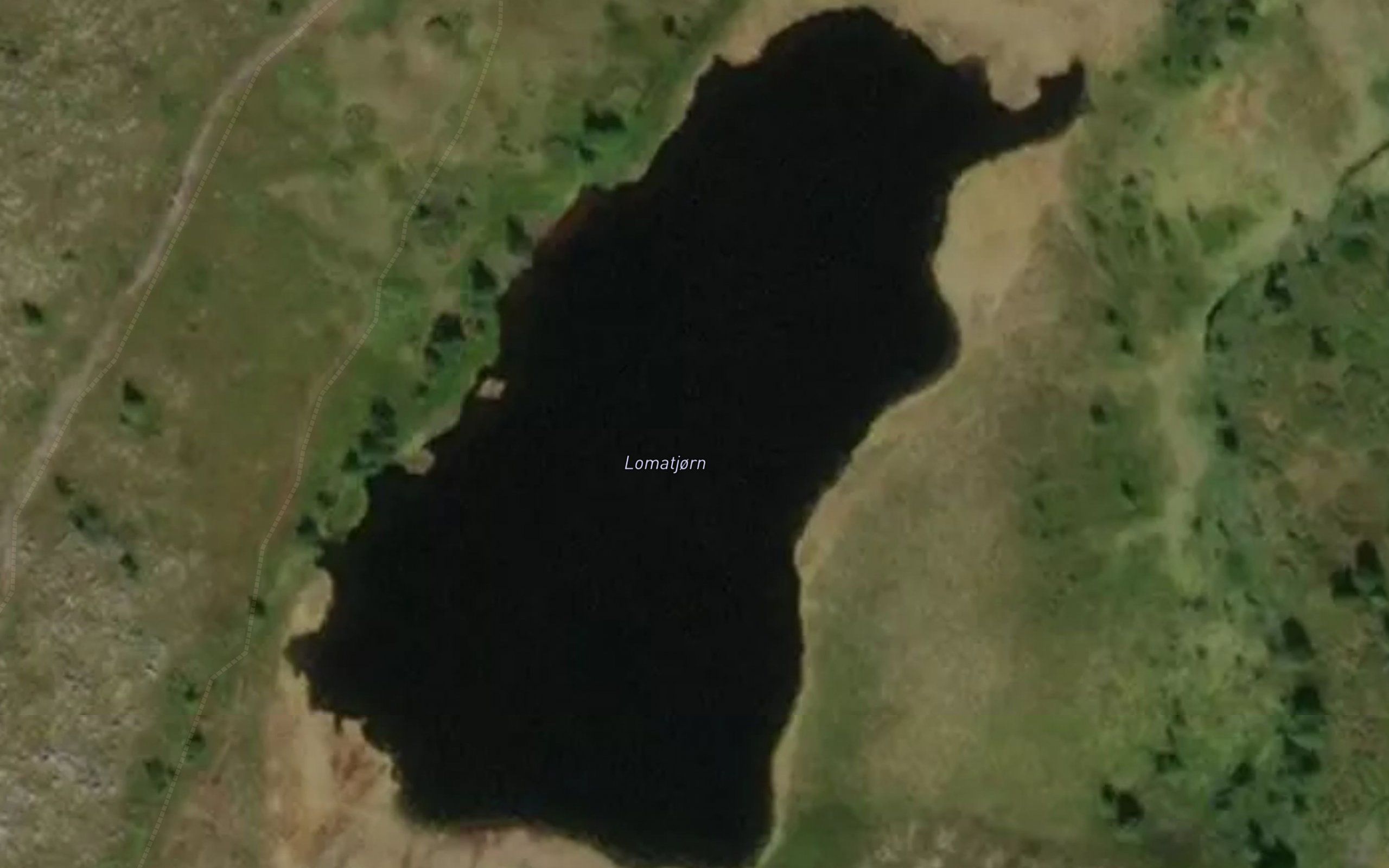Lometjorn