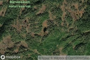 Kaldalstjorna