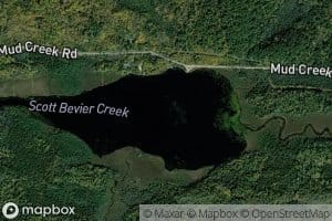 Rice Bay