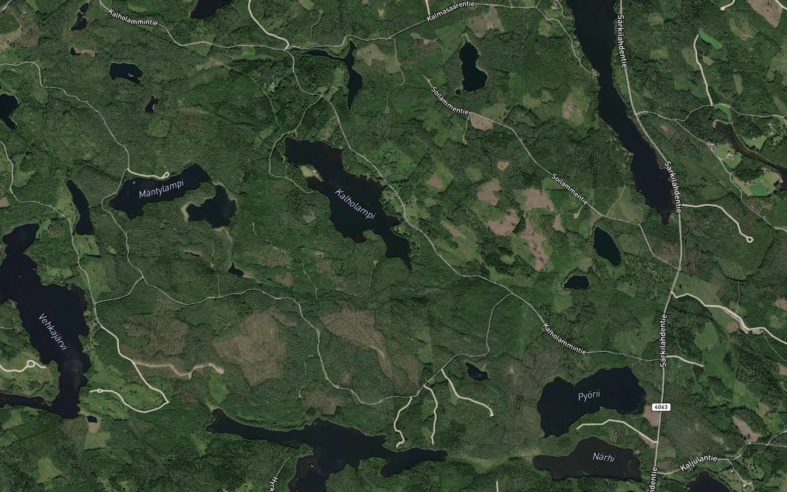 Pitkalahti
