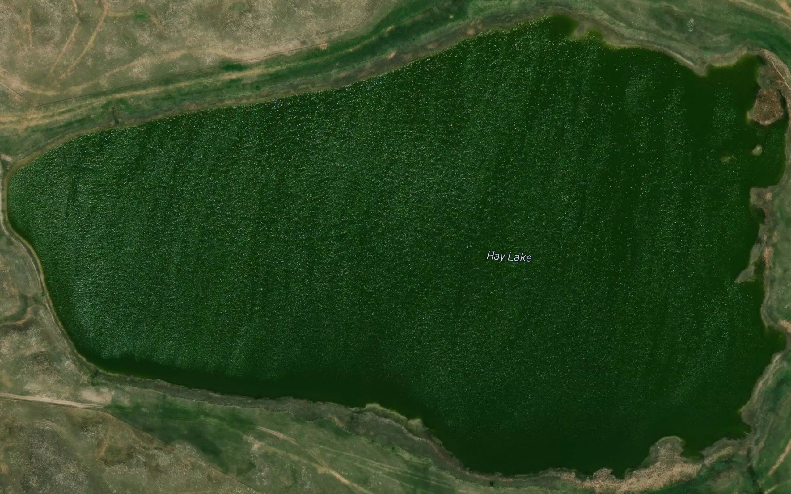 Hay Lake