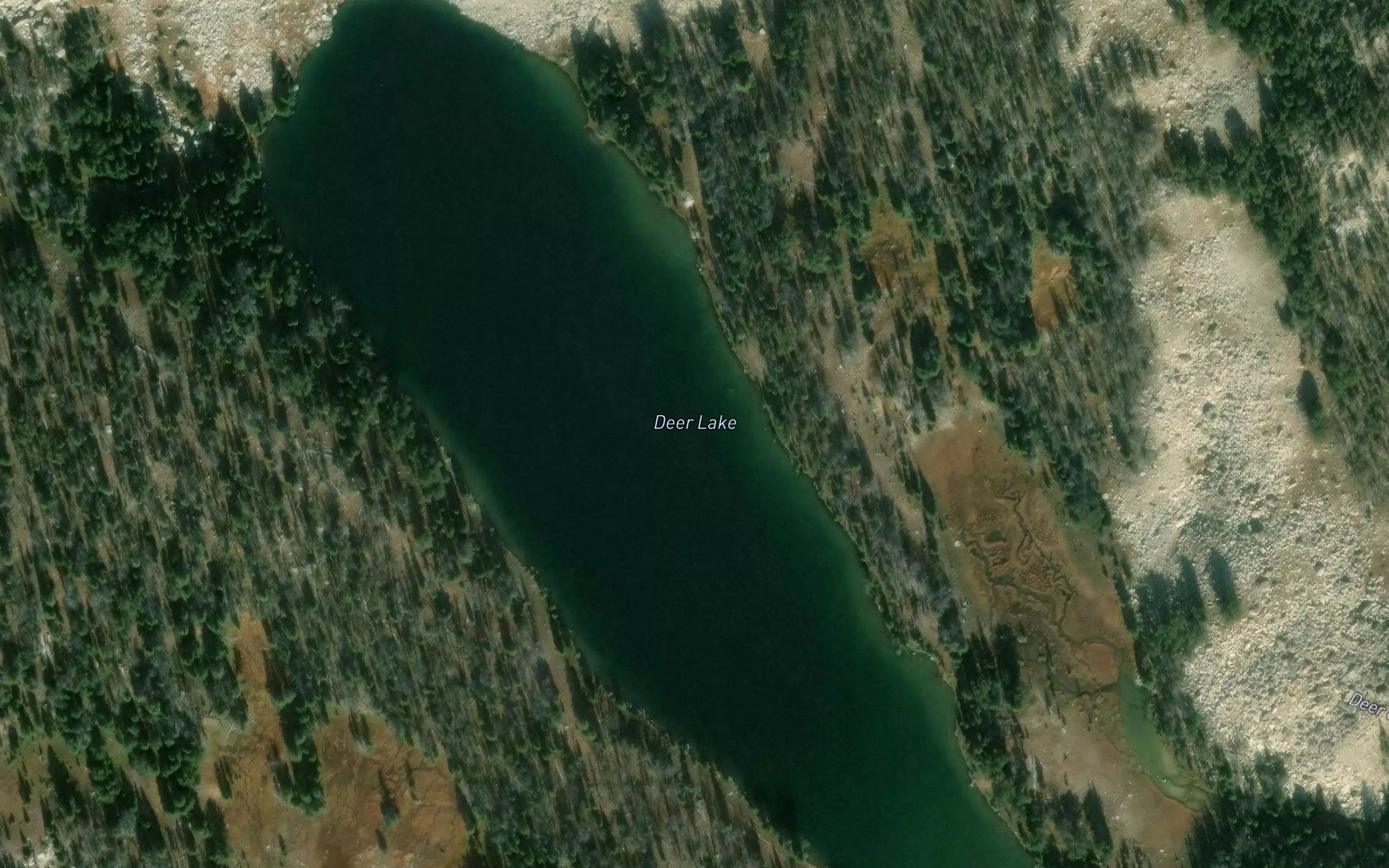 Deer Lake