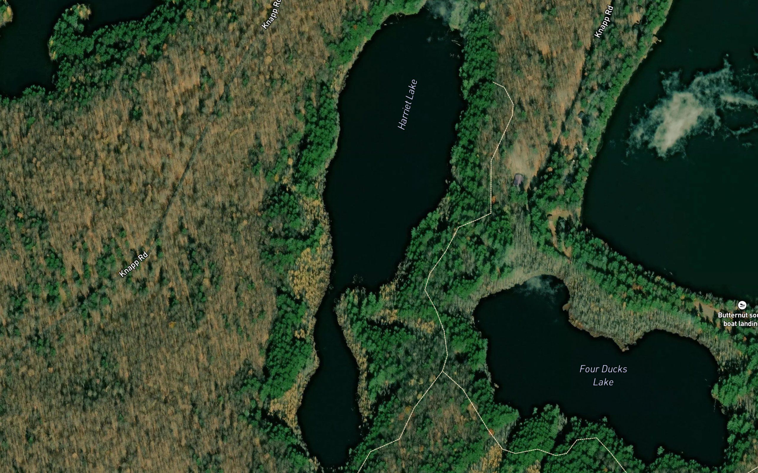 Harriet Lake