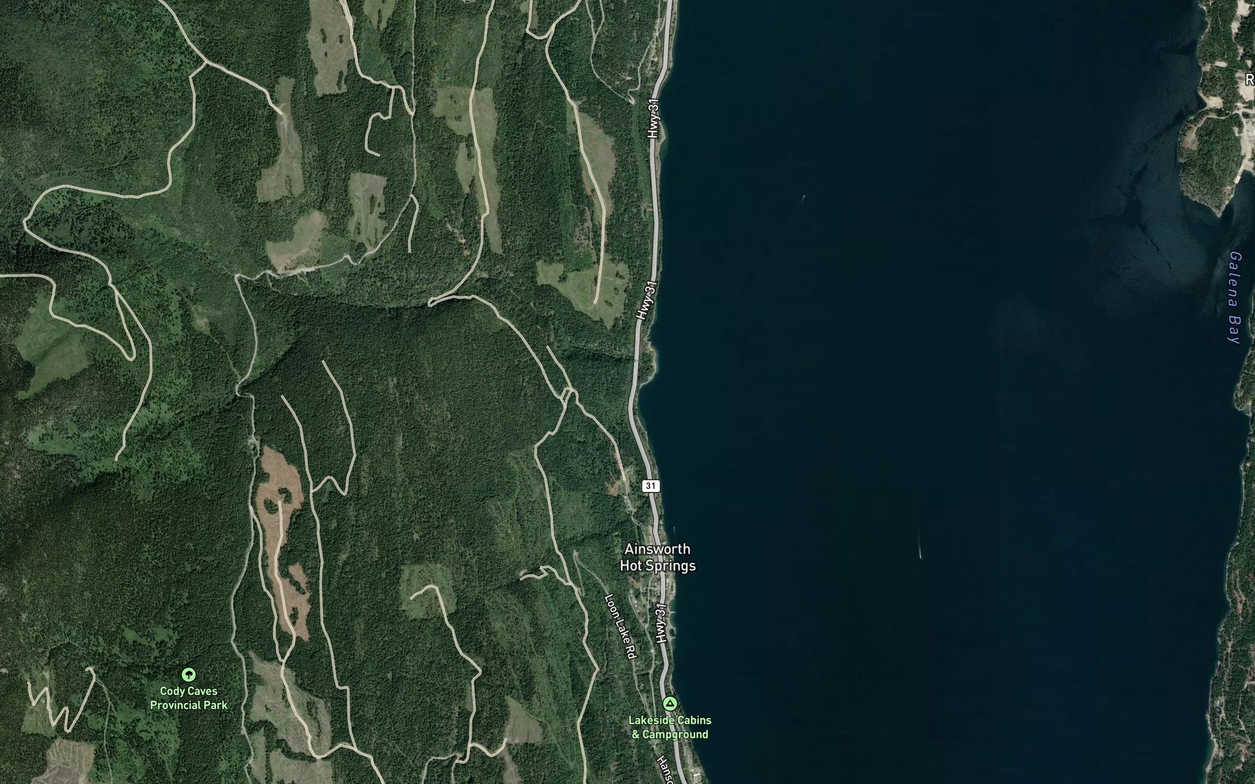 Satellite map of the Cedar Creek