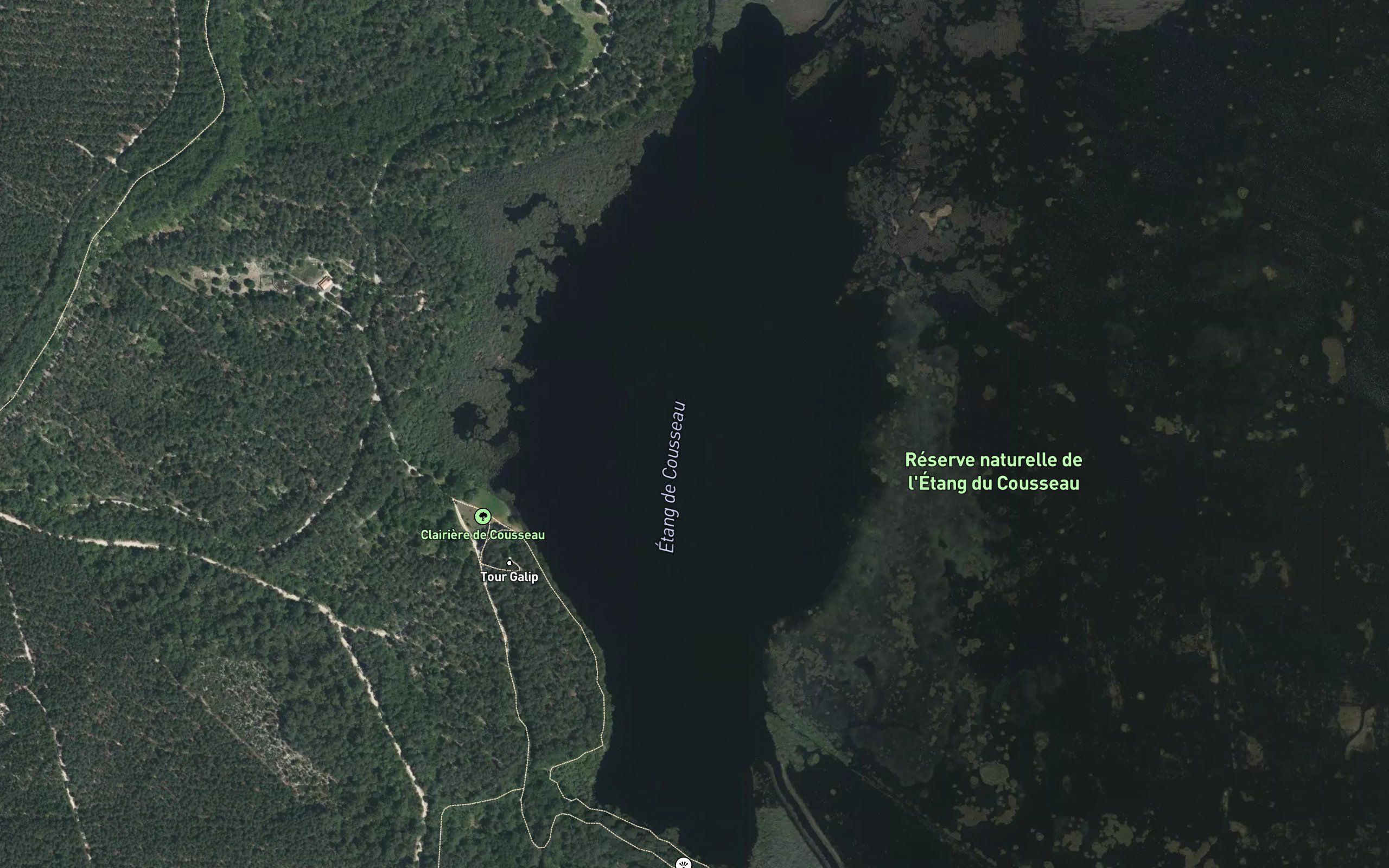 Etang de Cousseau